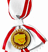 Konkurs Grunt na Medal
