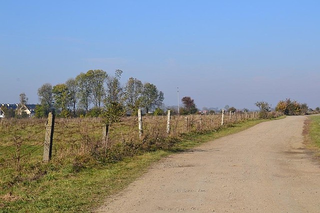 Działki w Radymnie - 8,1 ha