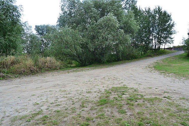 Działki w Radymnie - 2,5 ha