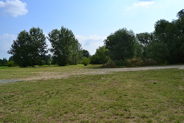 Działki w Radymnie - 2,5 ha