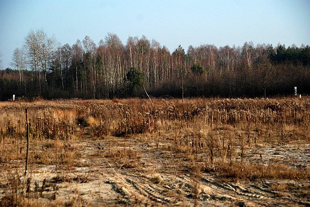 Działka w miejscowości Lipa