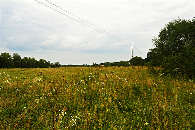 Nowe Sady, działka 612/8