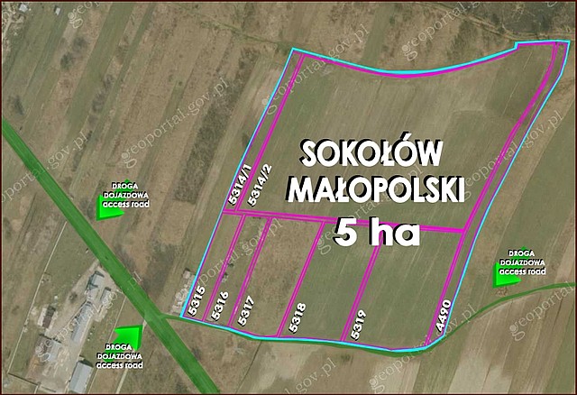 Sokołów Małopolski - teren inwestycyjny o pow. 6 ha