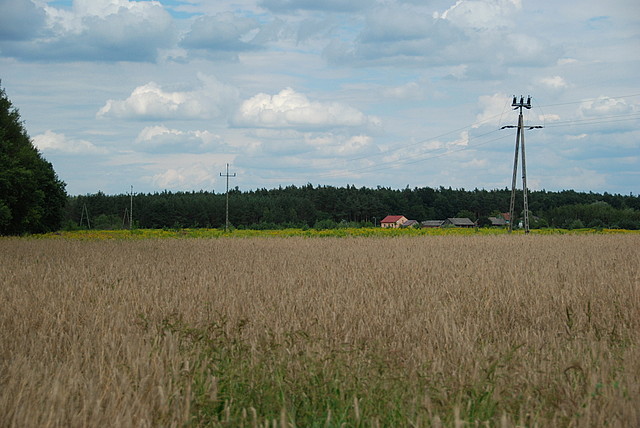 Baranów Sandomierski 2021/2