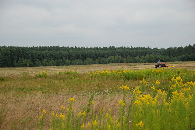 Krzątka, działka nr 400