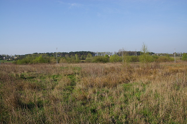 Kolbuszowa, nr działki 48/104