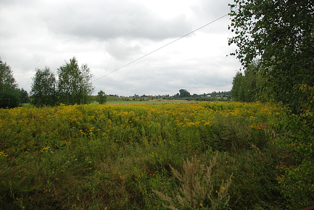 Kolbuszowa, nr działki 73/17