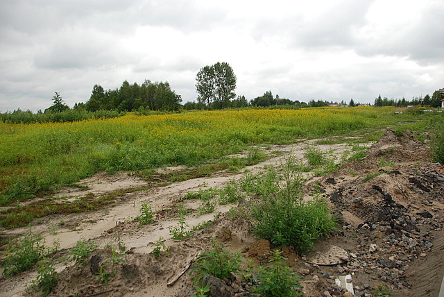 Kolbuszowa, działki nr 100/2, 100/4 i 91/4