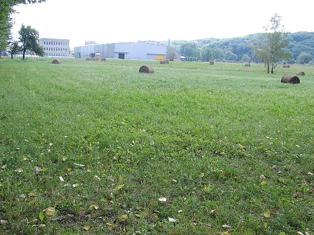 Teren Zielony- 5,2 ha - Jasło