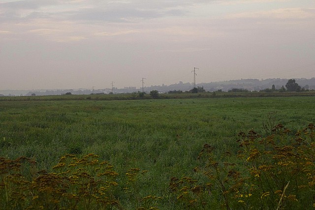 Jasło- Warzyce – Obszar A