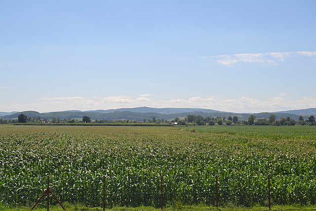 Trześniów działka nr 2384/10