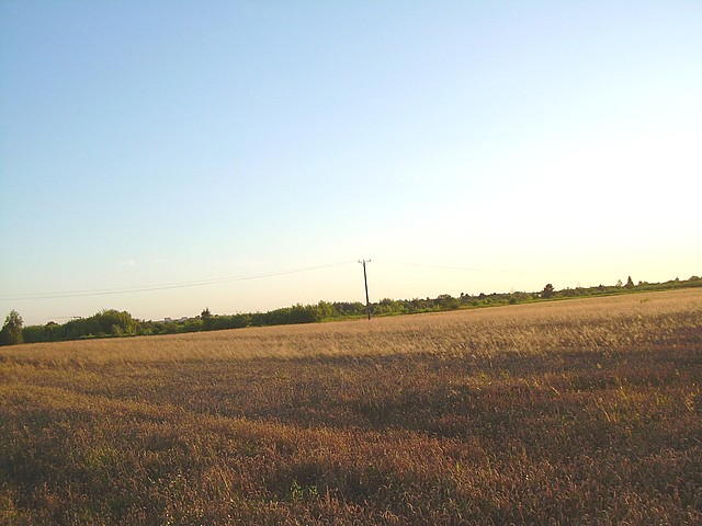 Lubelska - 16,34 ha