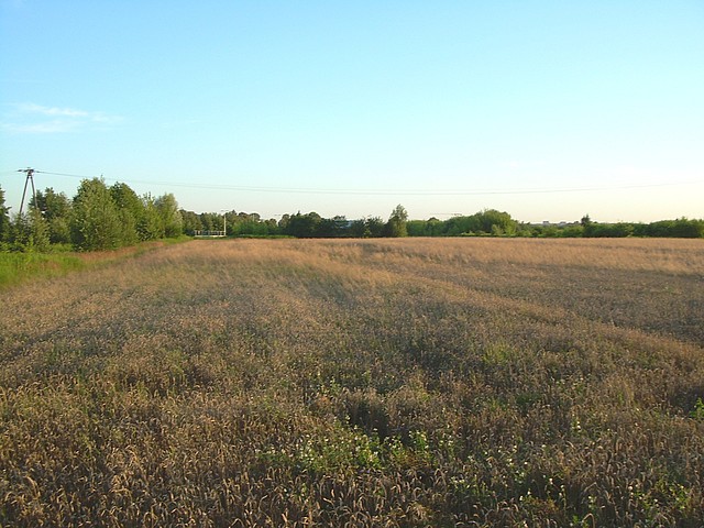 Lubelska - 16,34 ha