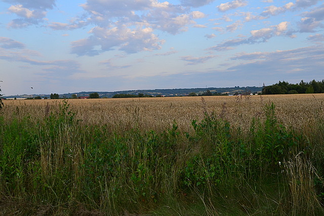 Olchowa - działki nr 1709 i 91