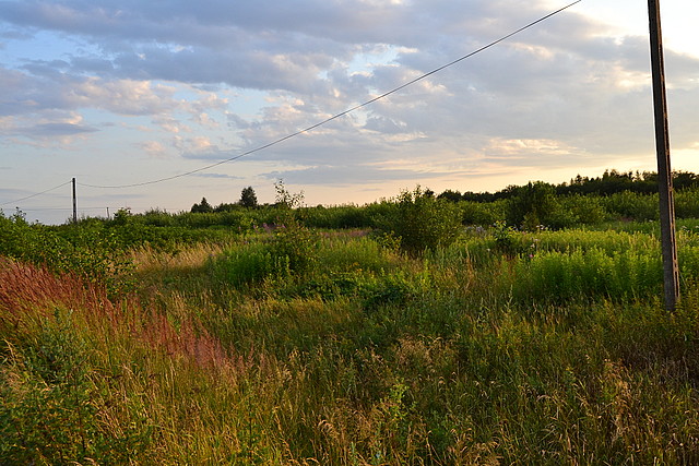 Olchowa- działka nr 1719/4