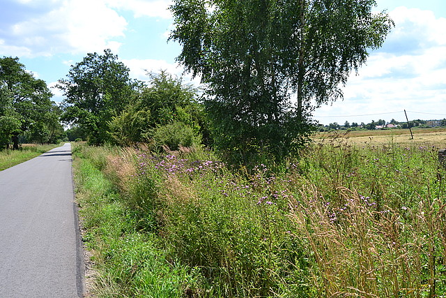 Narol - nr działki 1900/2