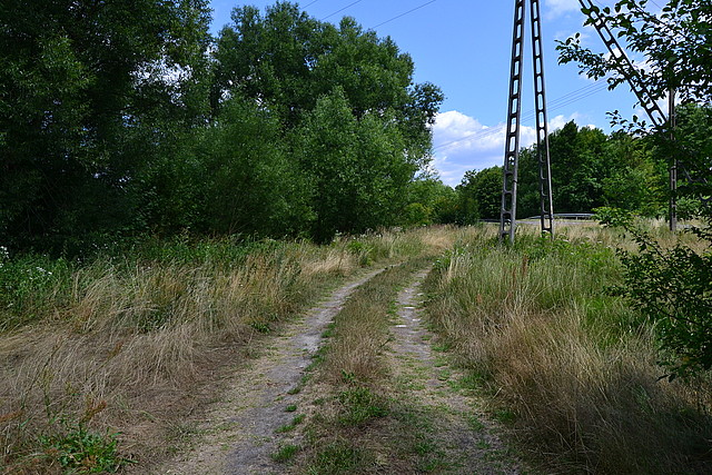 Płazów- nr działki 1174/1 