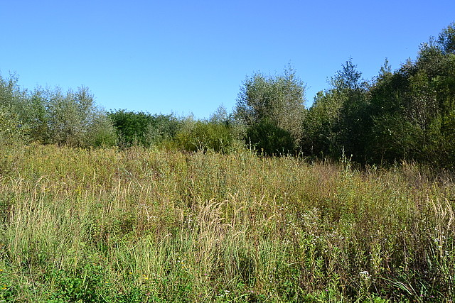 Bączal Dolny