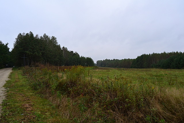 Błażkowa