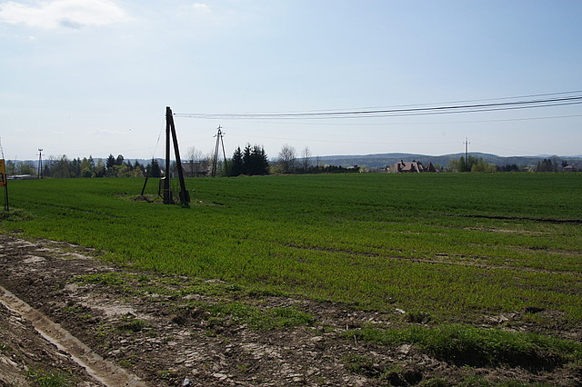 Szebnie