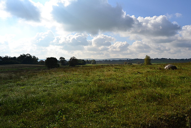 Czeluśnica - działka nr 198
