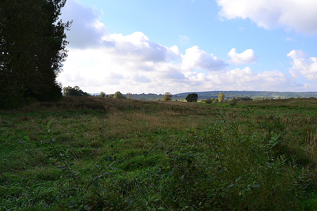 Czeluśnica - działka nr 198