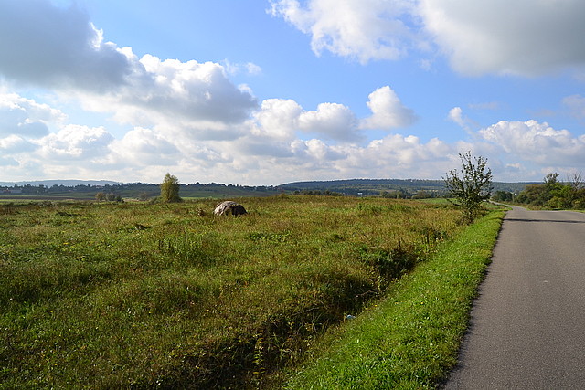 Czeluśnica - działka nr 201