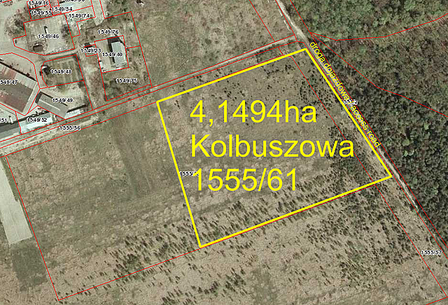 Kolbuszowa, nr działki 1555/61