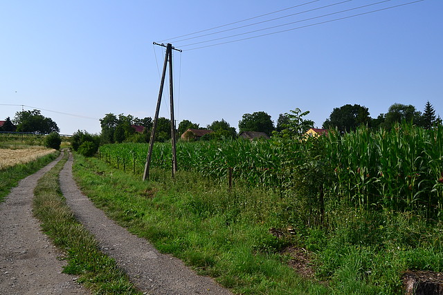 Skołoszów - 3,95 ha