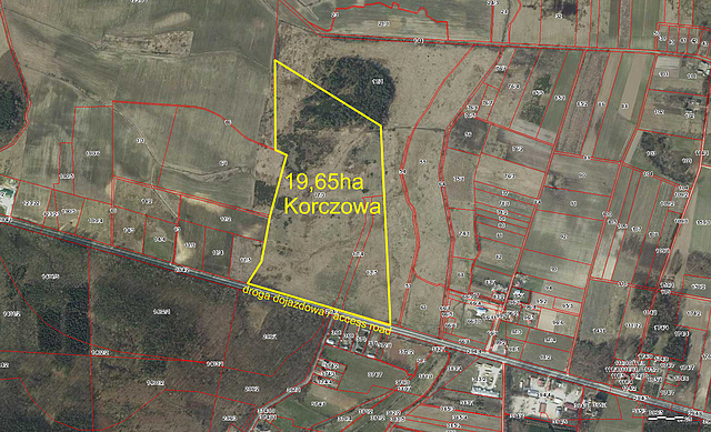 Korczowa - 19,65 ha