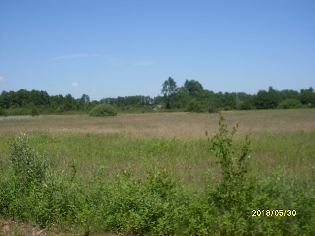Teren - Straszęcin - 32,5 ha